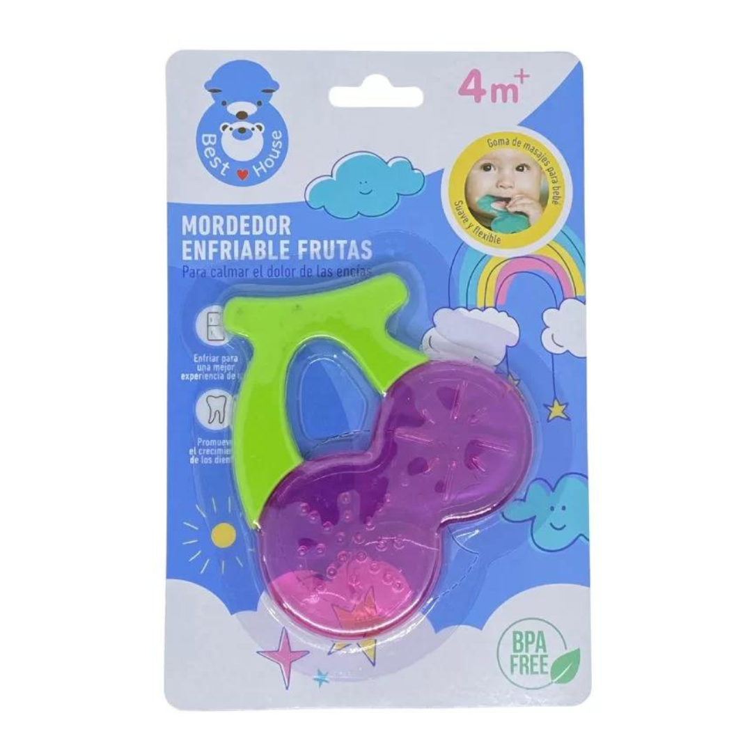 Coolable fruit design teether